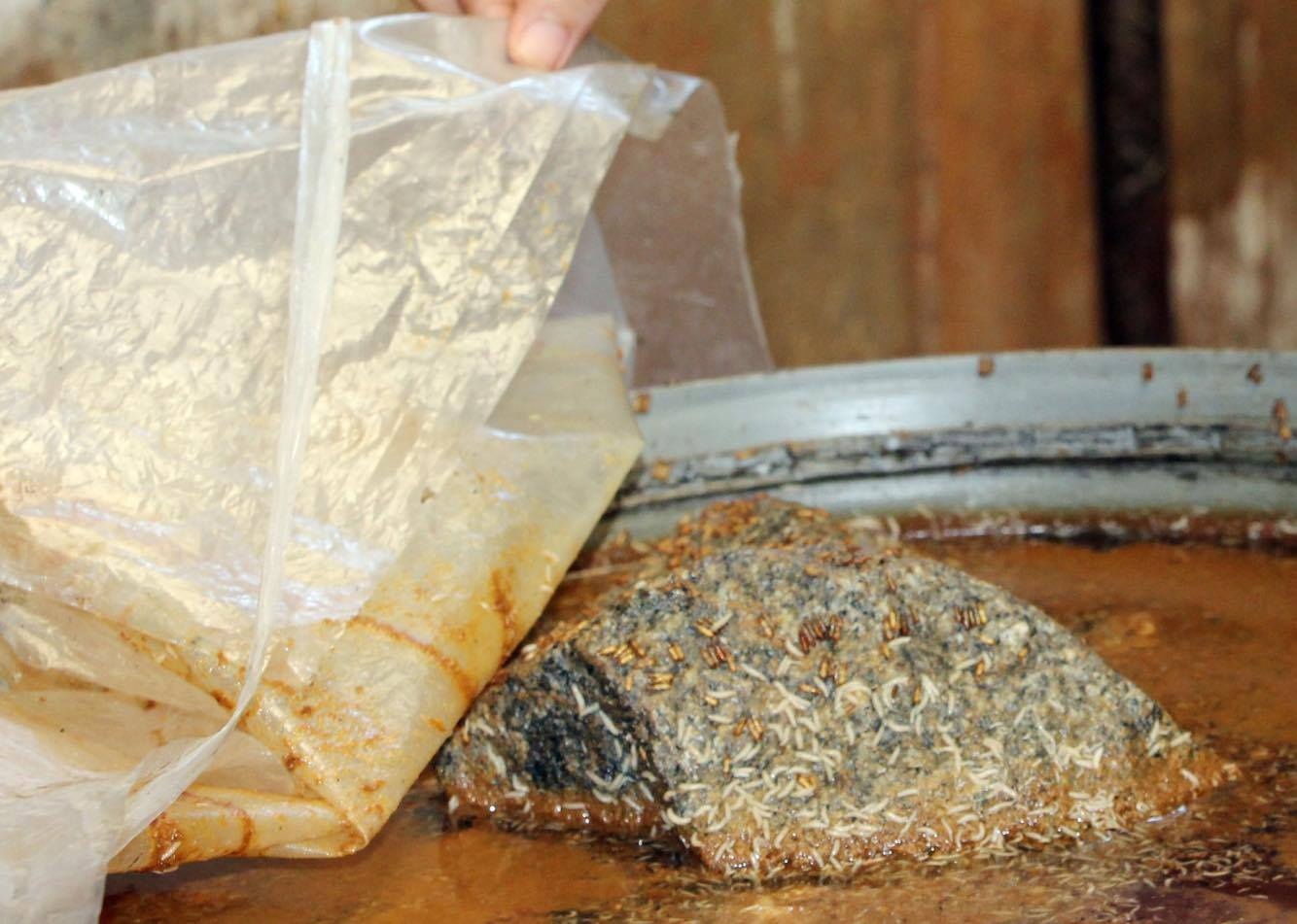 Doi bo luc nhuc trong u dua mam o mien Tay hinh anh