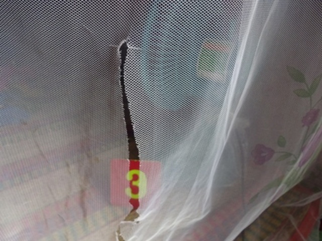 Trom vao nha rach mung lay iPhone o mien Tay hinh anh