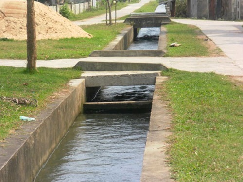 Phat hien chong tu vong o muong nuoc canh quan nhau hinh anh