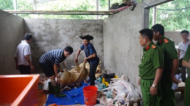 Phat hien thit de doi mau, hoi thoi sap tuon vao nha hang hinh anh