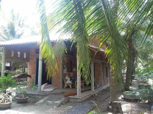 vợ bóp của quý chồng ảnh 1 vo bop cua quy chong anh 1