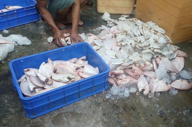 'Ho bien' gan 1 tan ca thoi thanh thuc an hinh anh