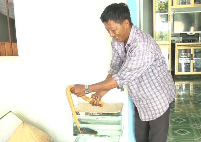 lươn vàng 50 triệu ảnh 1 luon vang 50 trieu anh 1