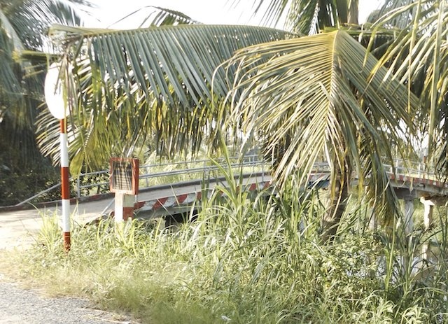 Bắt giam trước ngày cưới ảnh 1 Bat giam truoc ngay cuoi anh 1