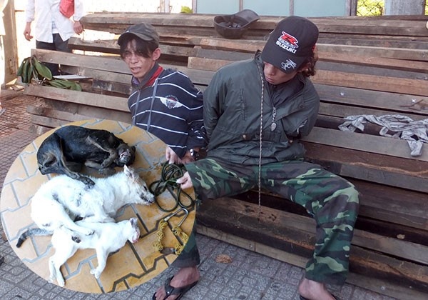 cho thuê đám cưới ảnh 1 cho thue dam cuoi anh 1