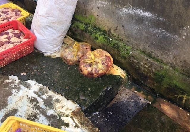 Phat hien hang tram kg thit ga tam han the hinh anh