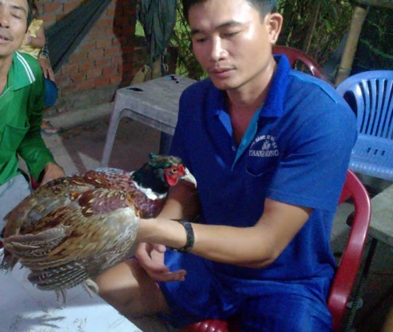 chi tri do hiem anh 2