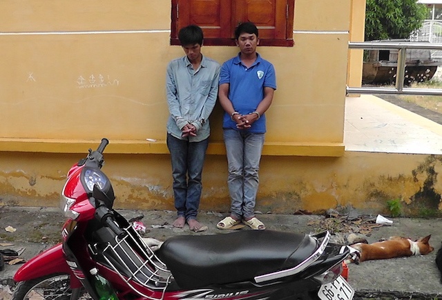 Hai thanh nien trom 8 con cho trong dem hinh anh