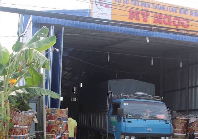 Ngao da mang luu dan do choi di cuop xe cong an xa hinh anh