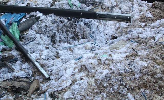 Cháy ở công ty may Cần Thơ ảnh 2 Chay o cong ty may Can Tho anh 2