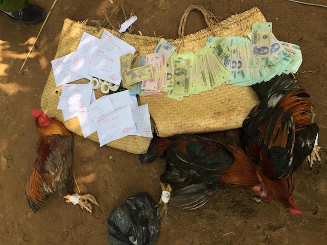 Canh sat triet pha truong ga o xu dua Ben Tre hinh anh