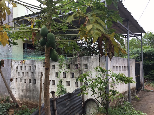 kế hoạch cướp ngân hàng ở Trà Vinh ảnh 4 ke hoach cuop ngan hang o Tra Vinh anh 4