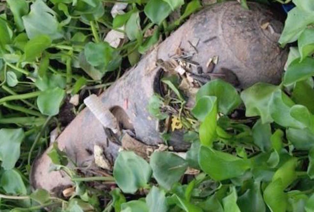 Keo luoi duoc... qua bom gan nua tan hinh anh