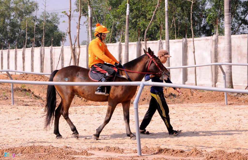 truong dua ngua anh 1