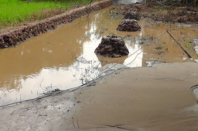 giật điện tử vong  ảnh 1 giat dien tu vong anh 1