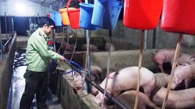 Phat 4 cong nhan bom nuoc tang trong vao heo hinh anh