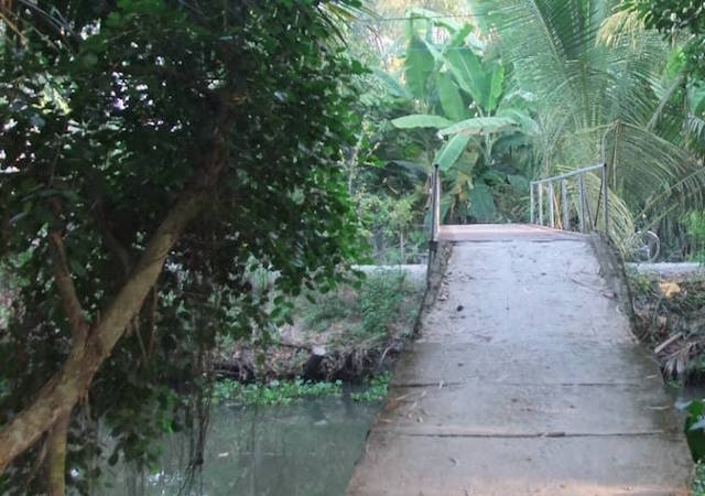 Dự tiệc sinh nhật ảnh 1 Du tiec sinh nhat anh 1