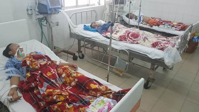 nguy kịch vì cá nóc ảnh 1 nguy kich vi ca noc anh 1