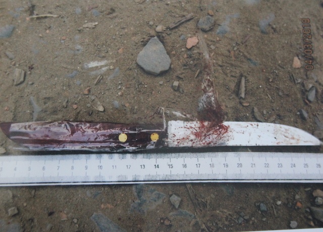 Giet em nguoi tinh anh 1