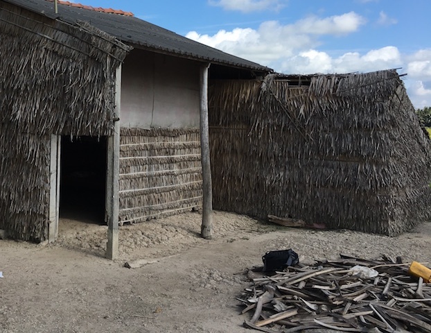 xam hai tinh duc anh 2