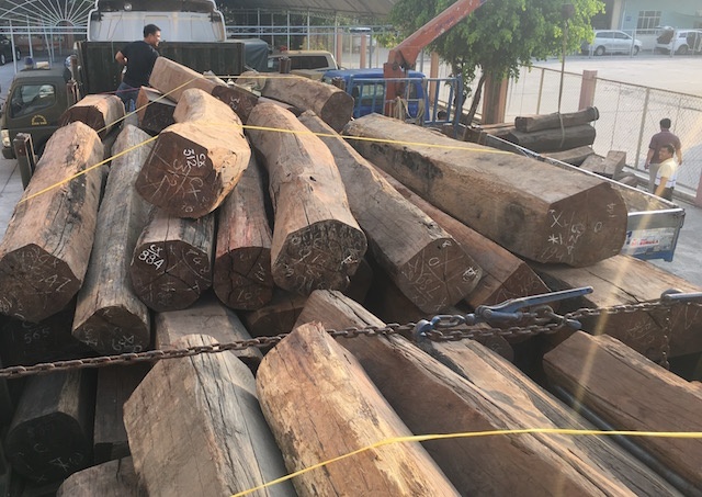 Xe dau keo cho hang chuc khoi go cam xe chua ro nguon goc hinh anh