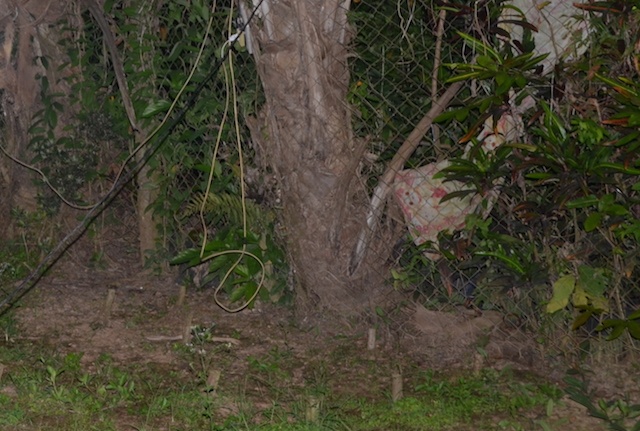 giet nguoi phan xac anh 1