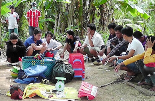 Hang chuc canh sat vay rap soi da ga trong vuon chuoi hinh anh