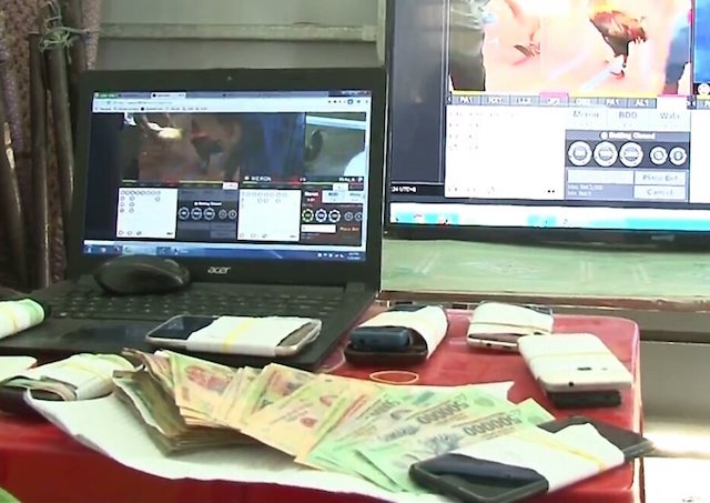 đá gà qua mạng ảnh 1 da ga qua mang anh 1