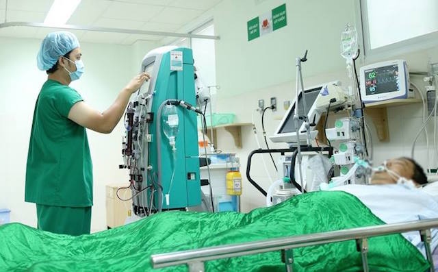 Me sang vi bi ong dot 250 mui hinh anh