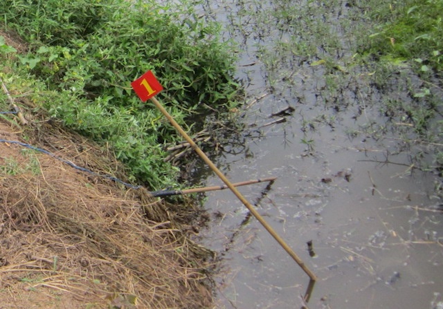 Me di kham benh ve den nha phat hien con trai 13 tuoi tu vong hinh anh