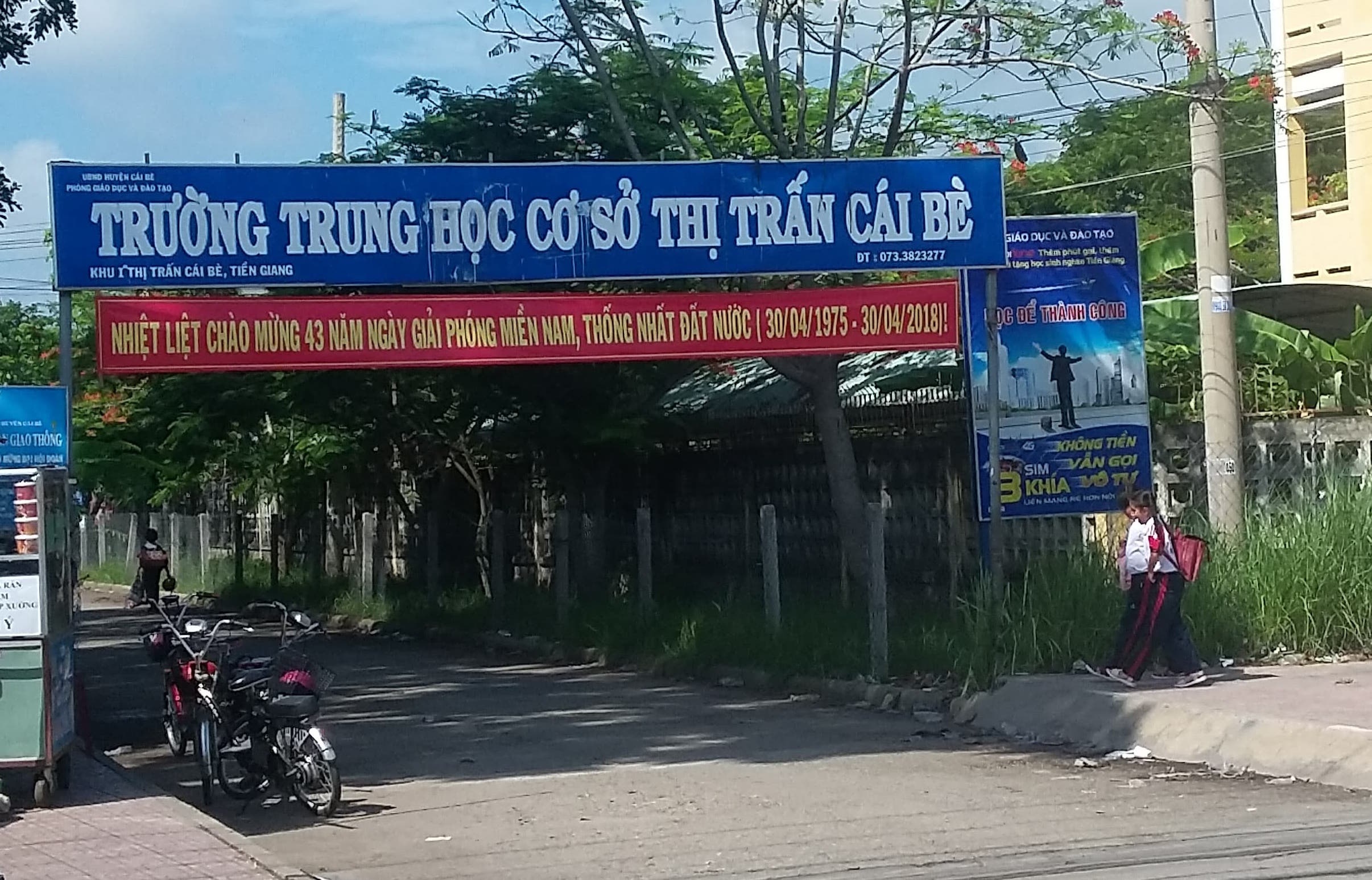 thu thach ca voi xanh anh 1