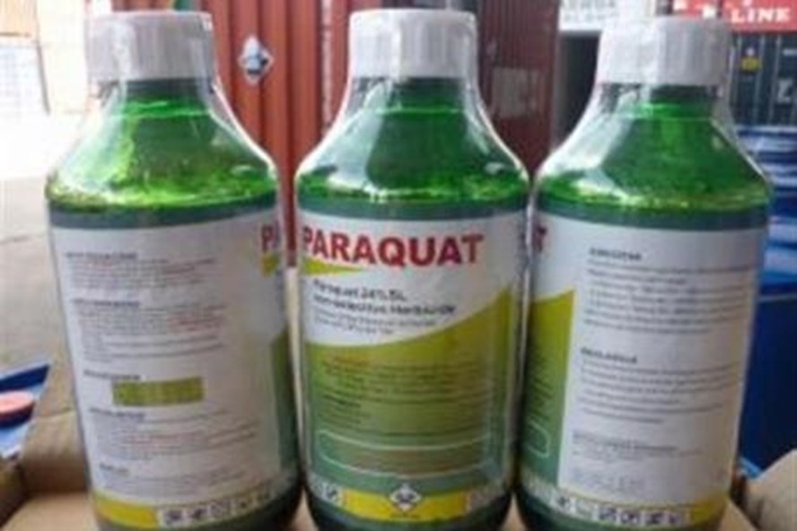 2 chi em uong thuoc diet co co lien quan vu mat trom dien thoai? hinh anh