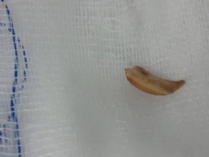 Cu ba 84 tuoi mac nghen khi an chao to yen voi hat sen hinh anh