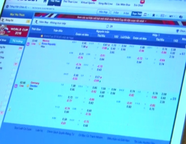 chu quan to chuc ca do anh 2