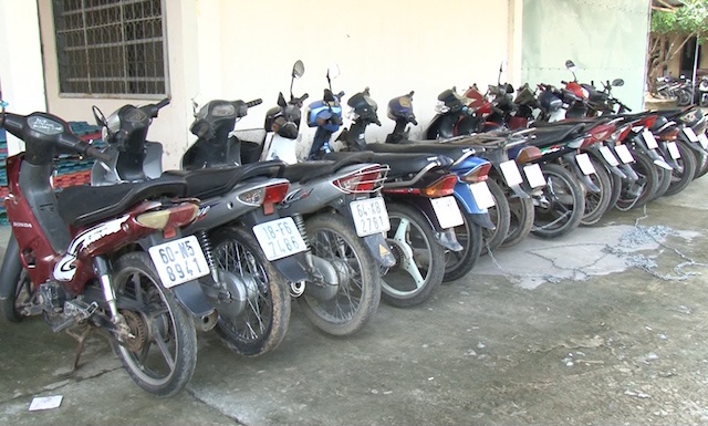 trường gà miền Tây ảnh 2 truong ga mien Tay anh 2