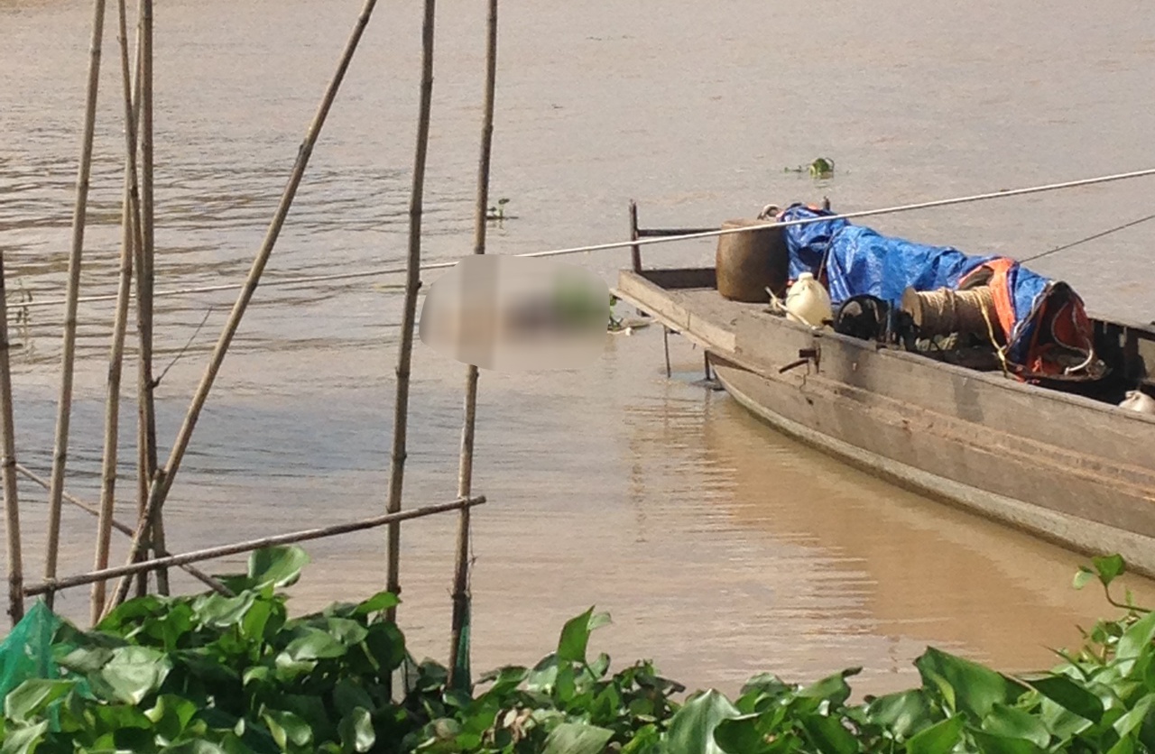 tự tử mùa word Cup ảnh 1 tu tu mua word Cup anh 1