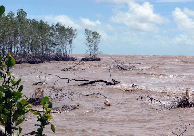 Xoi lo ngay cang nghiem trong o mien Tay hinh anh