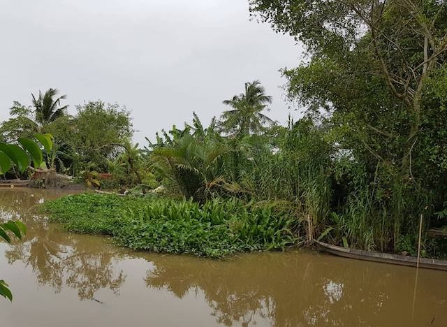 nghich tu giet cha me anh 3