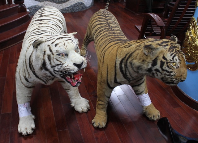 Thần y Võ Tấn Hùng ảnh 2 Than y Vo Tan Hung anh 2