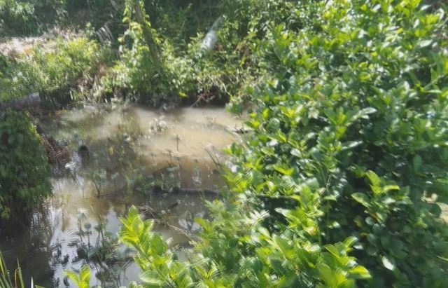 9X bi dien giat tu vong khi bom nuoc cuu ruong co hinh anh