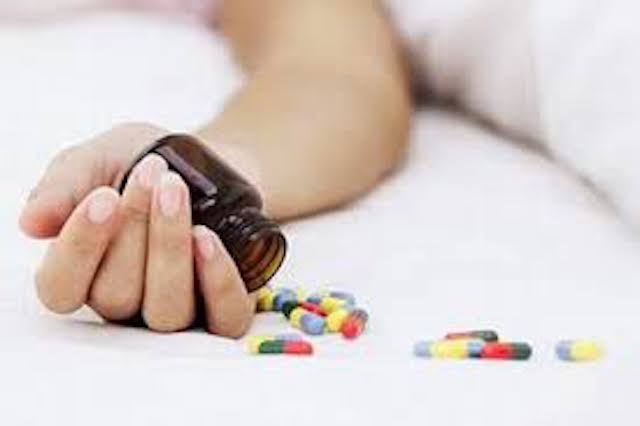 Truy tim ga dan ong bo tron sau khi nhan tinh thiet mang hinh anh