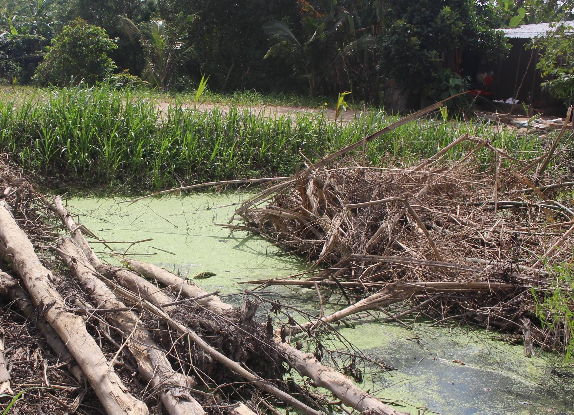 Nu MC o mien Tay bi giet sau tiec cuoi hinh anh