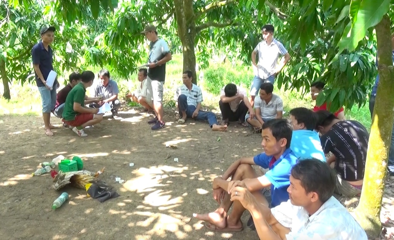 Da ga Cao Lanh anh 1