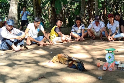 Canh sat ap vao truong ga o vung que ngay cuoi tuan hinh anh