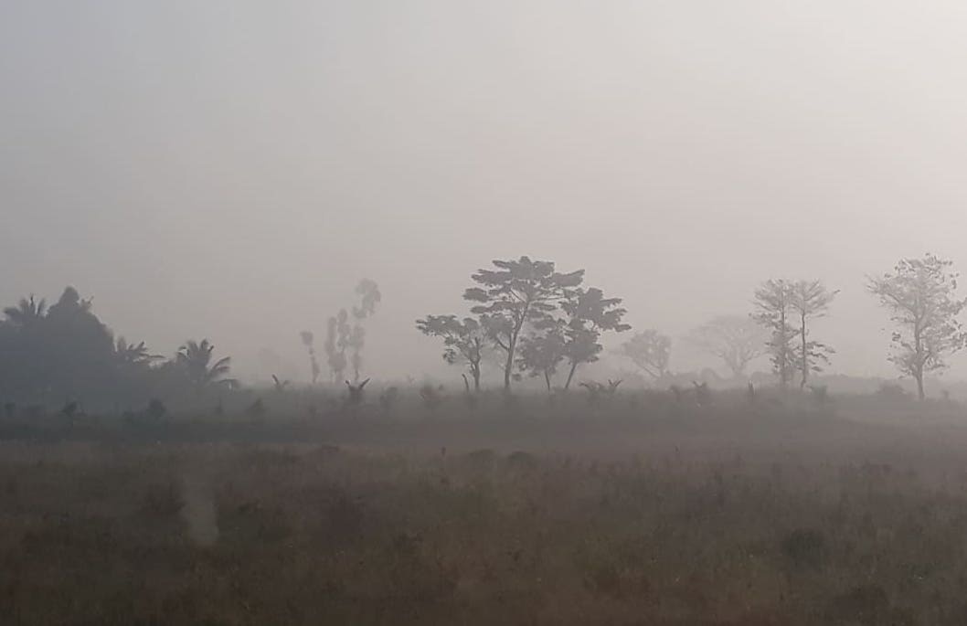 Sương mù miền Tây ảnh 1 Suong mu mien Tay anh 1