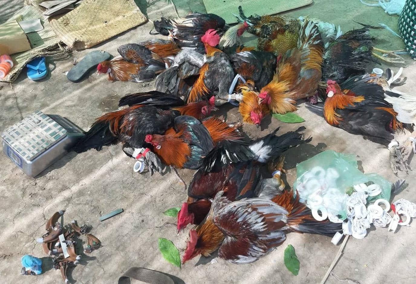Canh sat no sung pha truong ga o mien Tay hinh anh