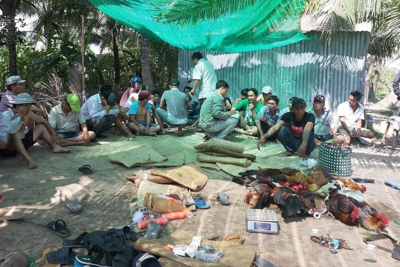 đá gà ăn tiền ảnh 1 da ga an tien anh 1