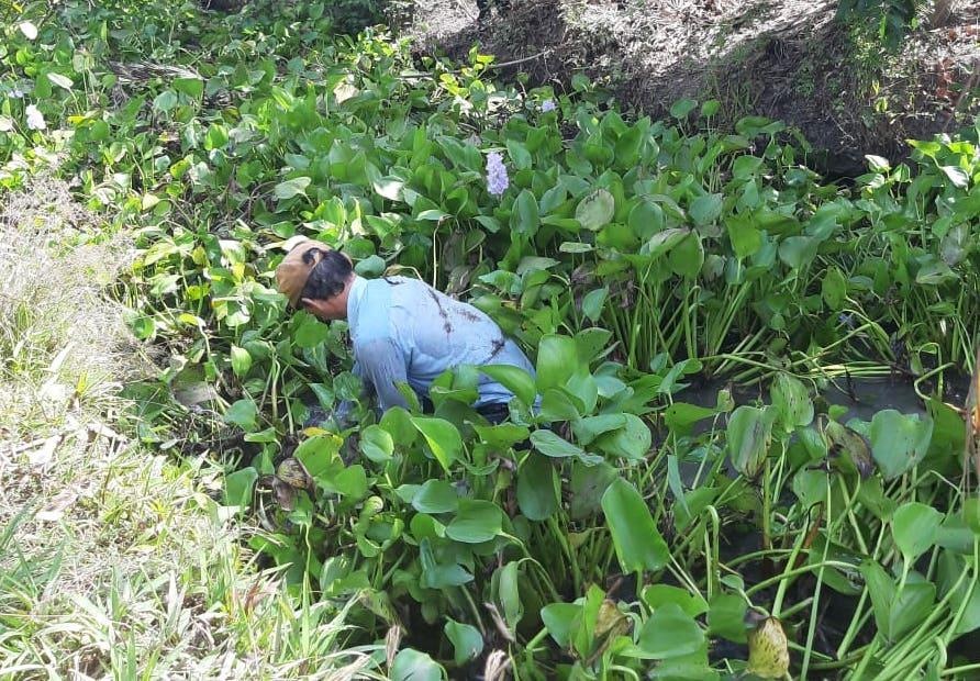 đá gà ăn tiền ảnh 2 da ga an tien anh 2