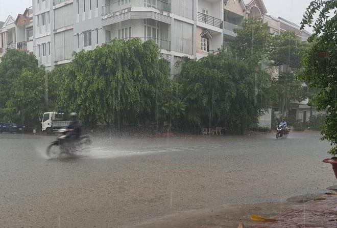 mưa lớn cần thơ ảnh 1 mua lon can tho anh 1