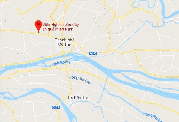 Cướp túi xách ảnh 2 Cuop tui xach anh 2